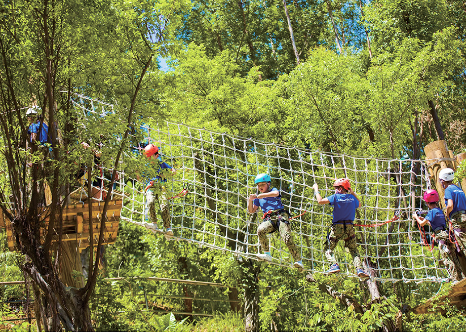 Jungle Crossing