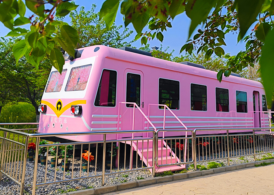 Sakura Train