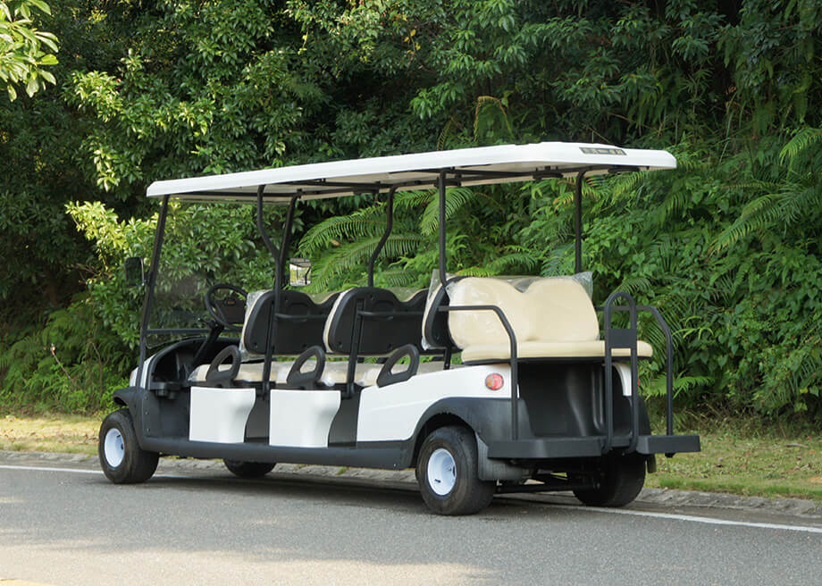 Electric Golf Cart