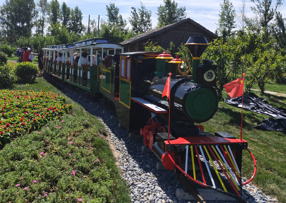 Medium Track Train-Customized Green Train