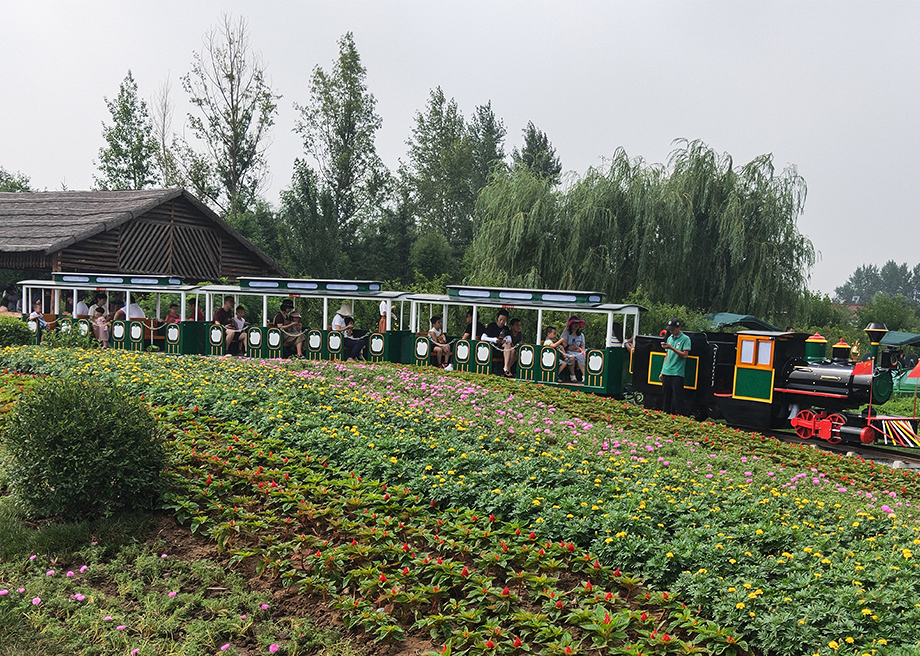 Medium Track Train-Customized Green Train