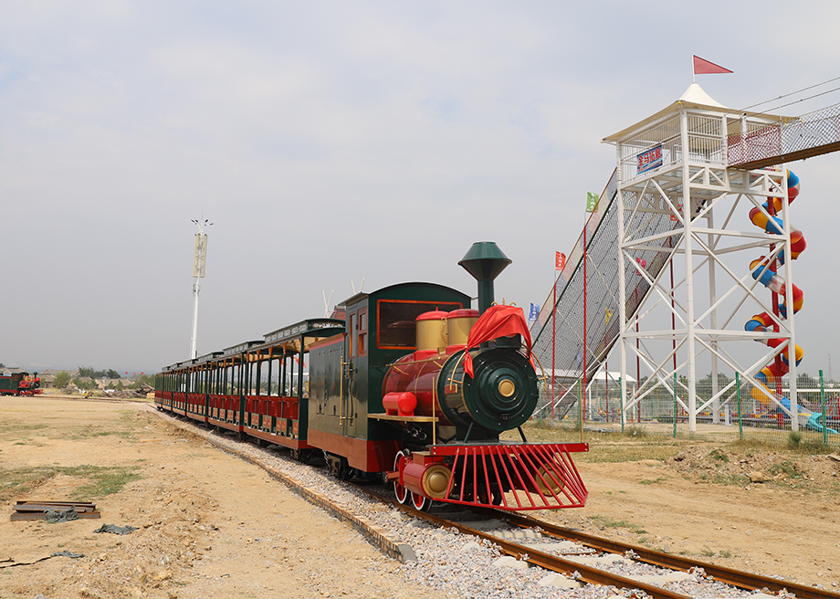 Customized Large Track Train