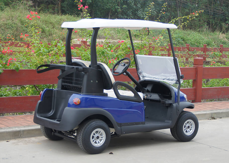 2 Seater Electric Golf Cart