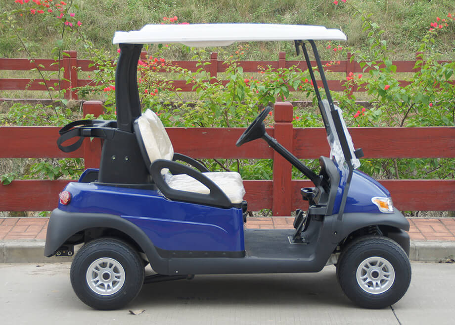 2 Seater Electric Golf Cart