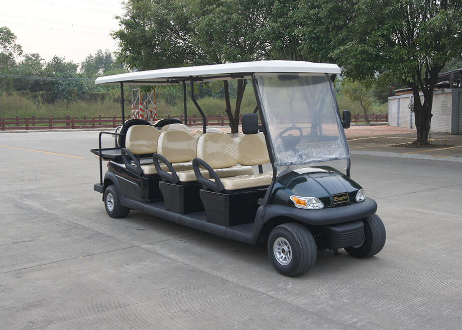 8 Seater Sightseeing Car