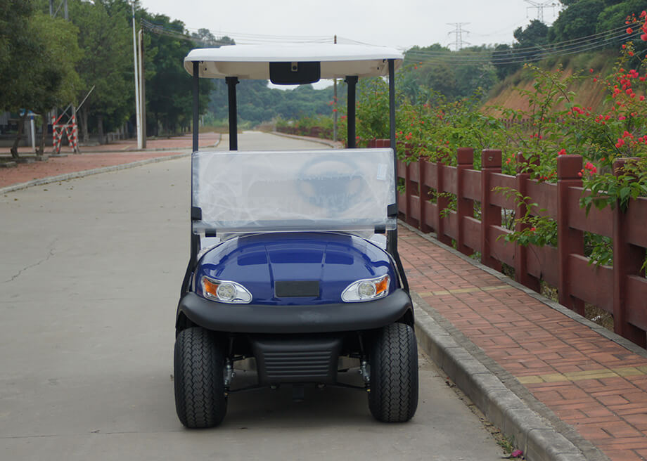 2 Seater Electric Golf Cart