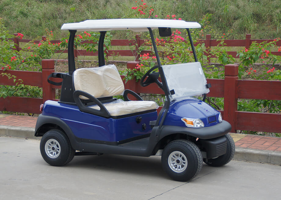 2 Seater Electric Golf Cart